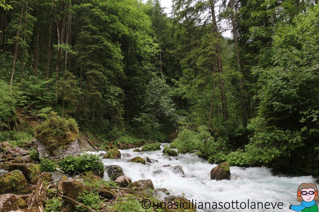 Gita alle cascate di&nbsp;Golling