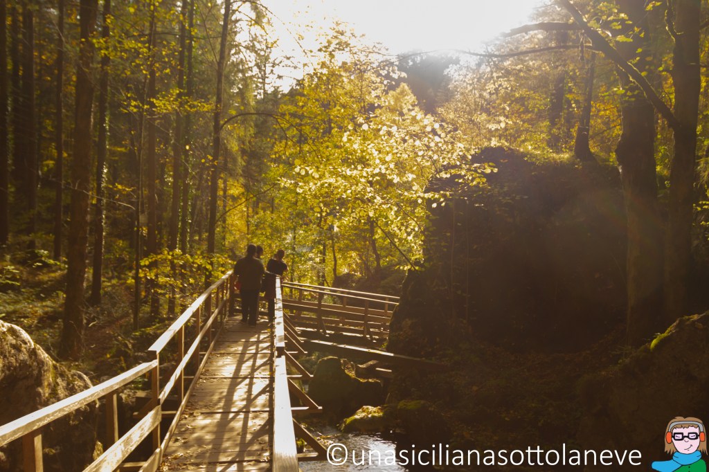 Myrafälle e Steinwandklamm